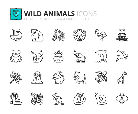 Outline icons about wild animals. Pets. Editable stroke. 64x64 pixel perfect.