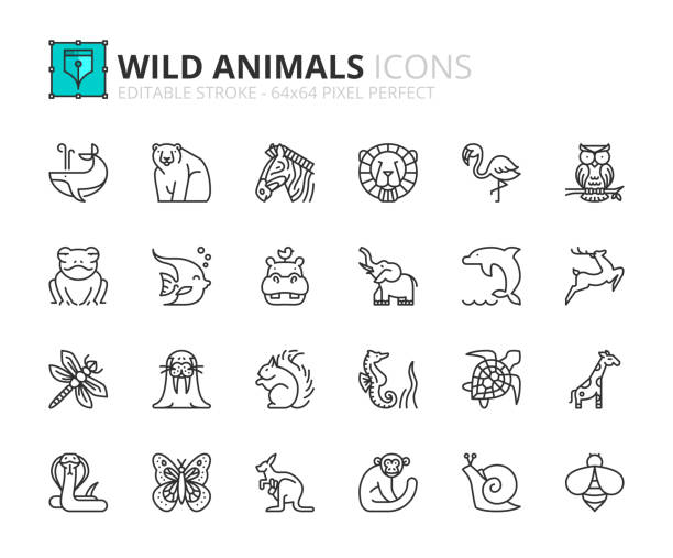 Outline icons about wild animals Outline icons about wild animals. Pets. Editable stroke. 64x64 pixel perfect. amphibian stock illustrations
