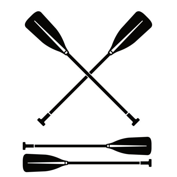 ilustrações de stock, clip art, desenhos animados e ícones de crossed paddle oars water activity clapperboard vector icon illustration silhouette - oar
