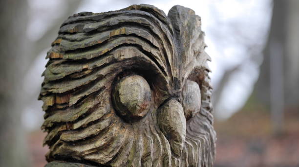 istock Wood sculpture of an eagle owl 1458242443