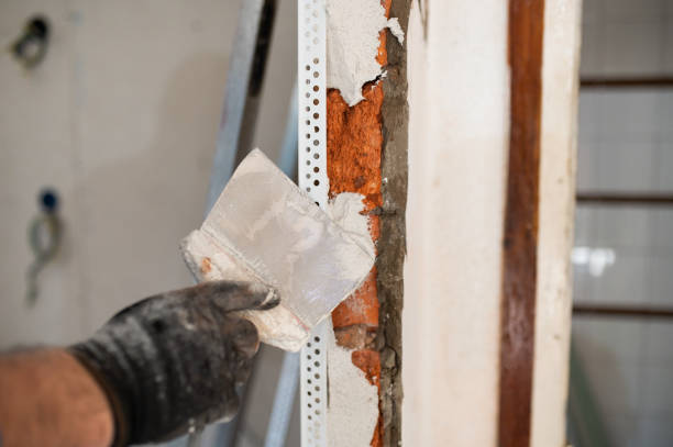 istock Repairing a wall with plaster 1458242856