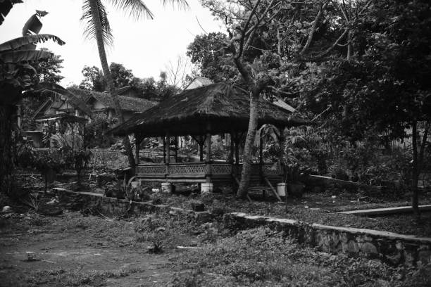 istock Hut built in the middle of a rice field 1458248694