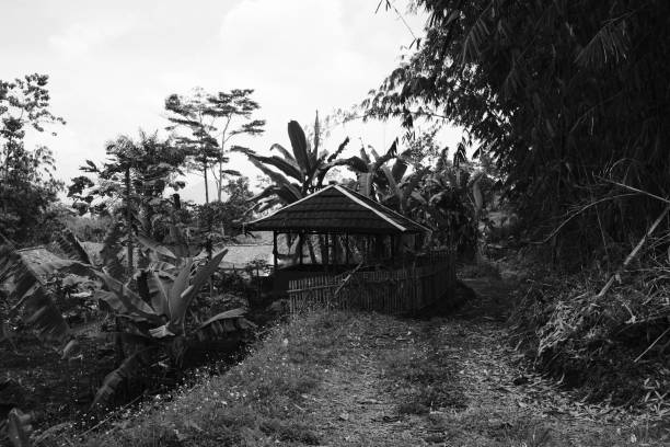 istock Hut built in the middle of a rice field 1458249215