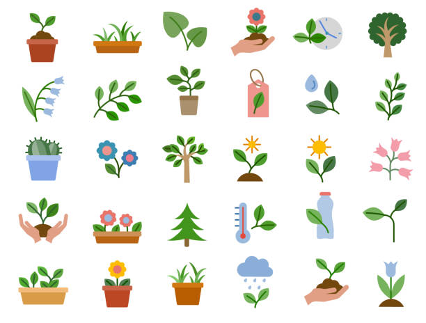 ilustraciones, imágenes clip art, dibujos animados e iconos de stock de conjunto de iconos planos de plantas y flores - seed human hand tree growth