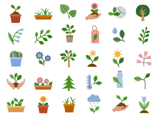 식물 & 꽃 플랫 아이콘 세트 - tree root environment symbol stock illustrations