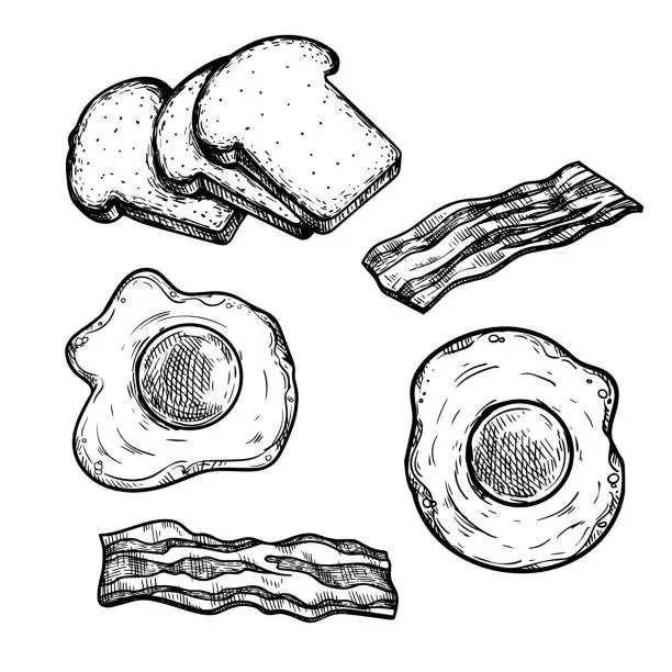 Vector illustration of Hand drawn sketch style breakfast ingredients set. Toasted bread slices, fried eggs and bacon. Best for menu designs and packages. Vector illustrations.