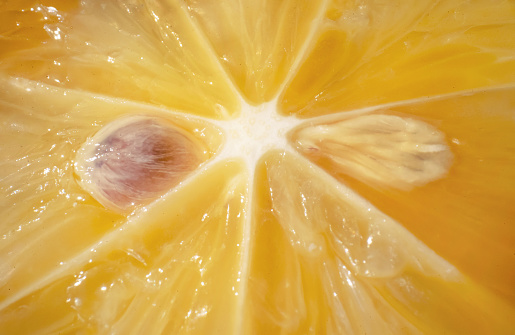 Macro lemon slice close up