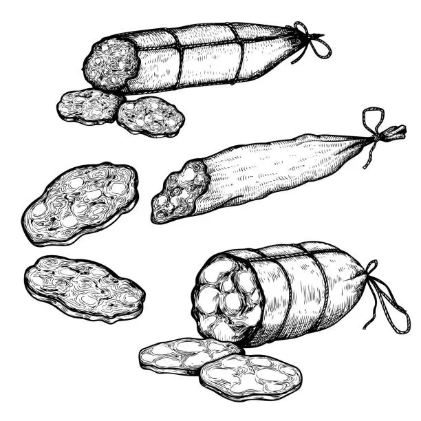 Vector illustration of Hand drawn sketch style sausages set. Engraved meat food. Ham and salami slices. Butchery products collection. Tasty meal. Vector delicious snacks.