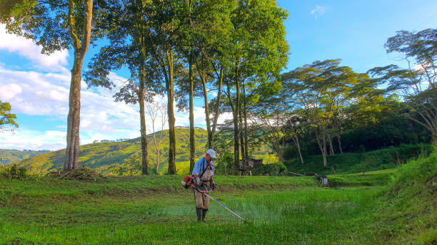 istock Man cutting grass on the farm 1458256421