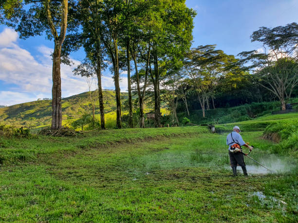 istock Man cutting grass on the farm 1458256971