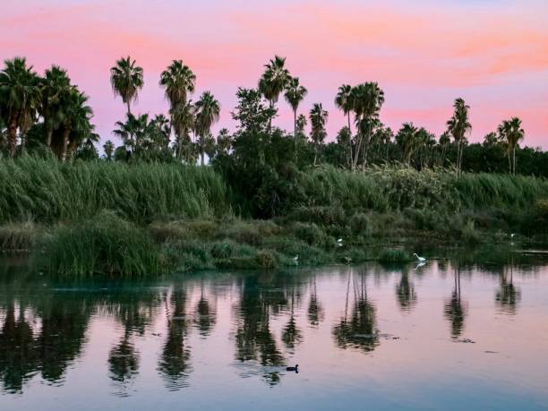istock The Majestic Oasis 1458256992