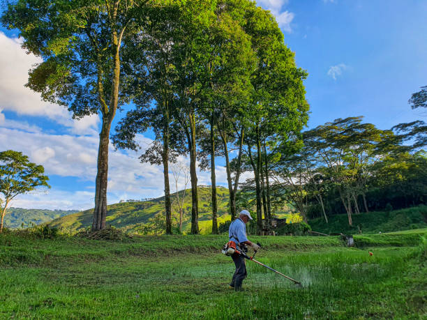 Man cutting grass on the farm