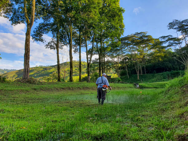 istock Man cutting grass on the farm 1458257007