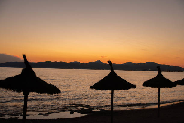 3 parasols in the foreground on a beach at sunset, parasols in silhouette. Arenal beach in Majorca at sunset