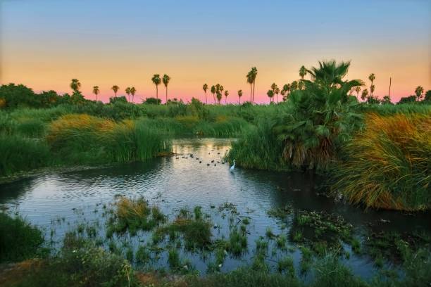 istock The Majestic Oasis at Dusk 1458257302