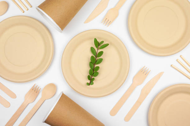 istock Eco friendly, plastic free disposable dishware for takeout. Flat lay on a white background. 1458259744