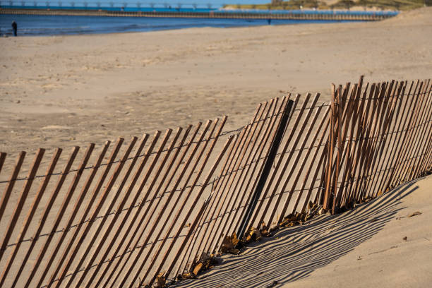 A fence in a sand dune with many diagonal lines and sunlight casting shadows.