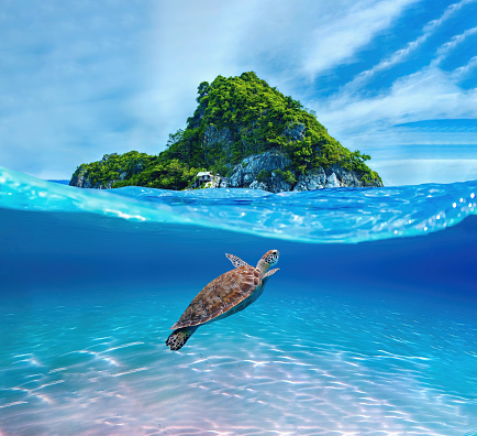 Digital art of a sea turtle swimming in the ocean, in front of a tropical island in summer.\n\nInspired by the beauty of the tropical ocean and marine life, this artwork will help remind you of your dream vacation in the tropical paradise.