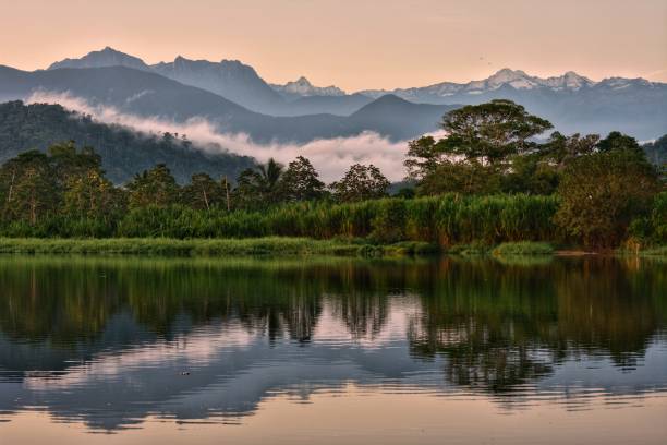 colombian mountain range - palomino imagens e fotografias de stock