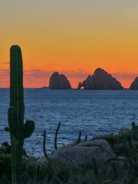 istock The Desert Meets the Ocean 1458269524