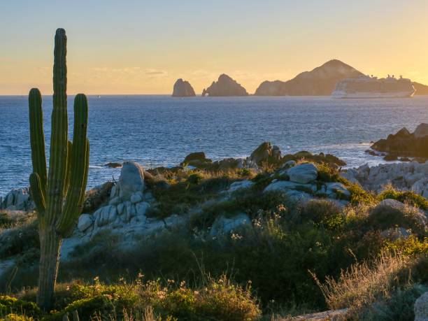 The Desert Meets the Ocean