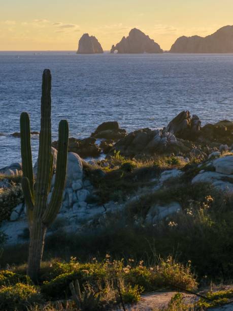 istock The Desert Meets the Ocean 1458269891
