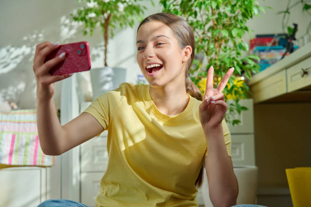 istock Teenage female using smart phone for conference chat video call 1458271735