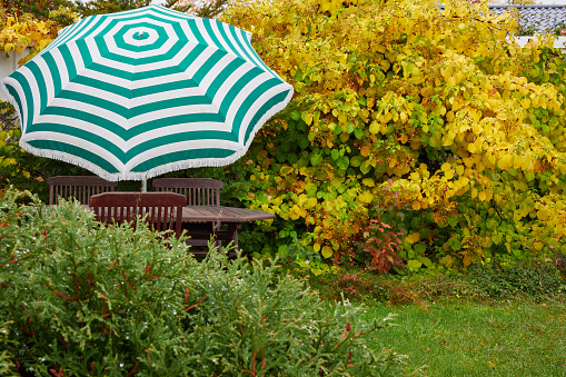 Autumn in garden: wooden furniture, umbrella, yellow leaves.