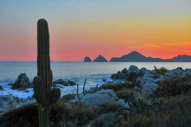istock The Desert Meets the Ocean 1458275658