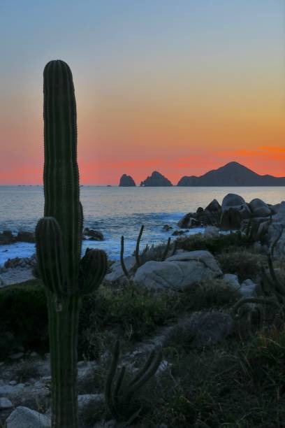 istock The Desert Meets the Ocean 1458275706