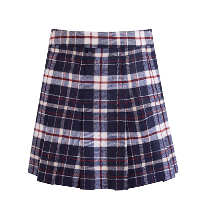 Pleated short skirt isolated on white. Women's clothes. Checked clothing.