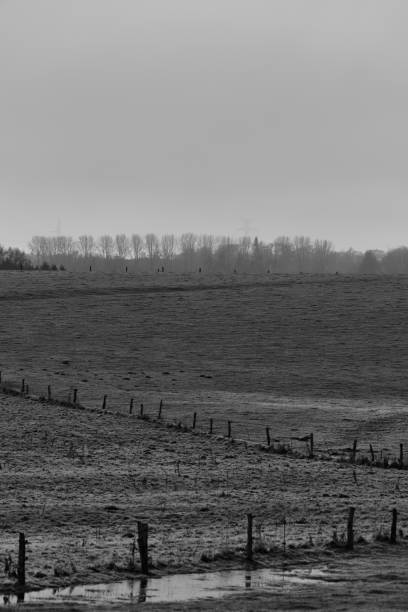 istock Foggy rural scenery 1458279159