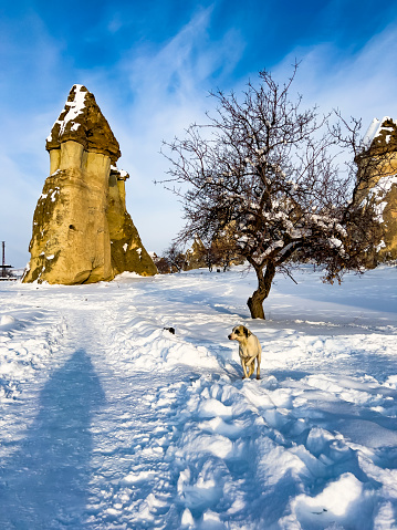 Volcanic rock formation in Cappadocia, Central Anatolia, Turkey. Historical area covered with snow. Beautiful fairy tale like winter landscape with rock hoodoos. Panorama of unique geological fairy Chimneys under snowfall