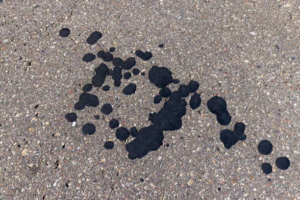 istock Paved highway in rural areas 1458290096