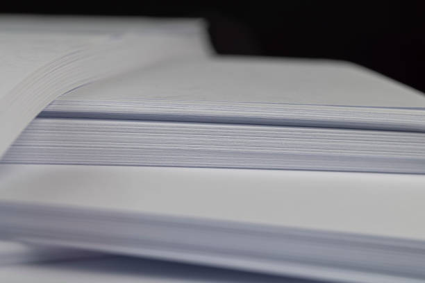 istock White blank paper for writing and printing texts 1458290269