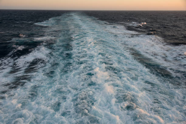 Ocean wake from cruise ship.