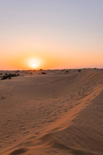 istock Desert sunset with empty dunes in Dubai or Abu Dhabi, United Arab Emirates 1458291229