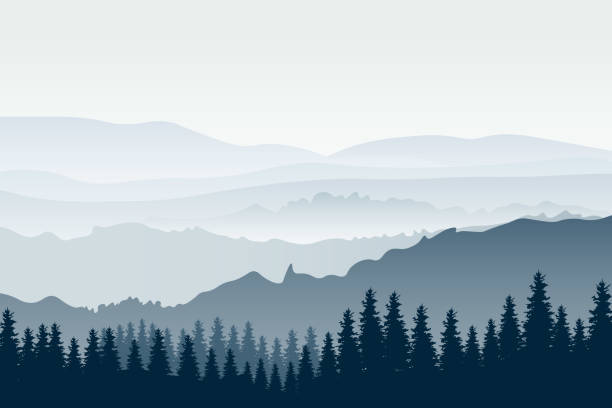 illustrazioni stock, clip art, cartoni animati e icone di tendenza di paesaggio montano orizzontale con alberi. vista panoramica di creste e foresta nella nebbia, illustrazione vettoriale. - alberato