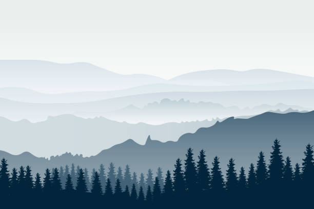 poziomy krajobraz górski z drzewami. panoramiczny widok grzbietów i lasu we mgle, ilustracja wektorowa. - park terenowy stock illustrations