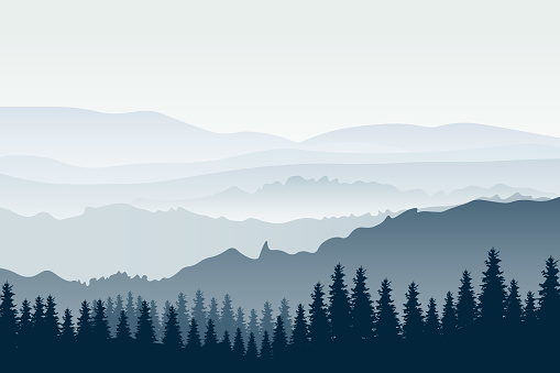 Panoramic view of ridges and forest in fog. Horizontal mountain landscape with trees.