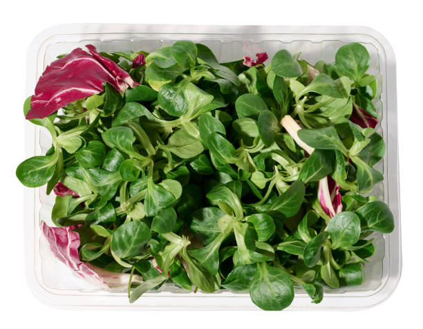 istock Fresh lettuce leaves  mung bean in a transparent plastic container on a white isolated background, microgreen 1458294683