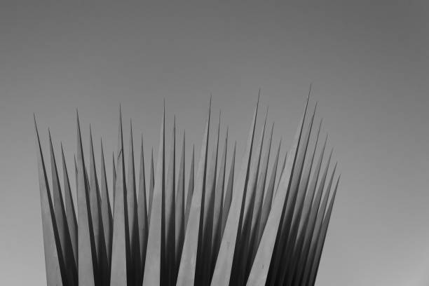 istock Abstract close up of grey needles in monochrome 1458297151