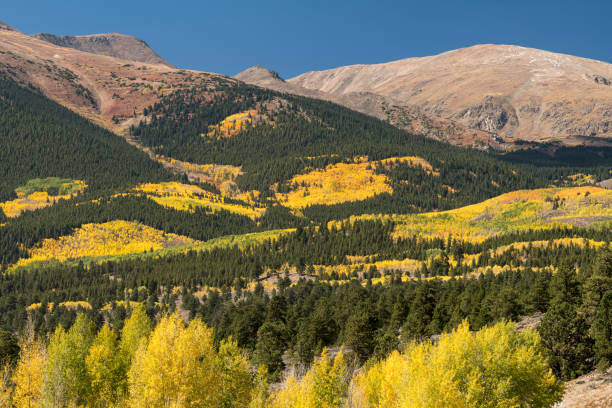 istock Changing Color in Colorado High Country. 1458301070