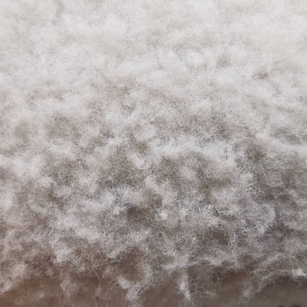 istock White wool with white top texture background, light white cotton, texture of fluffy fur for designers, close-up fragment white wool carpet 1458304119