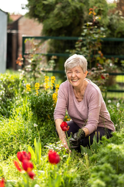 istock grandma is watering the flowers 1458304489
