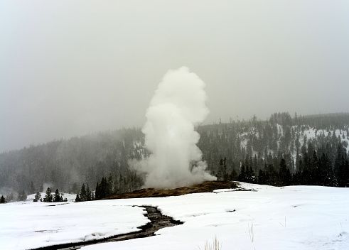 Old Faithful Geyser erupting in winter snow