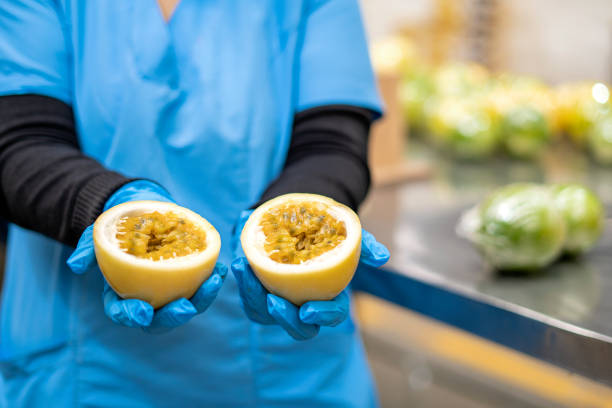 Close-up of a worker's hands holding some maracullas in a fruit factory.