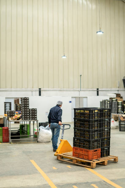 Fruit distribution factory worker moving boxes on a pallet truck down the aisle.
