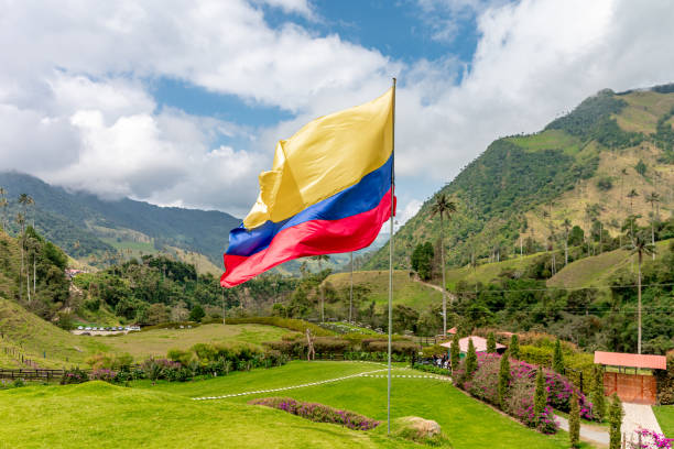 drapeau colombien dans le parc national - colombien photos et images de collection