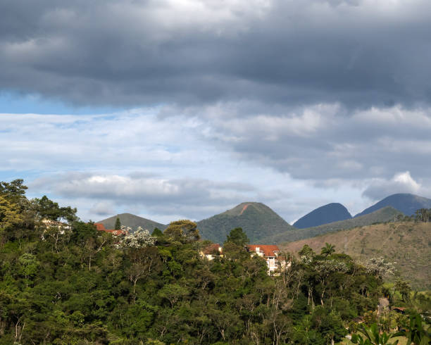 istock Occupaition of the Atlantic Forest in Itaipava 1458313087